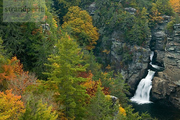 Ein Wasserfall in den Appalachen  USA.