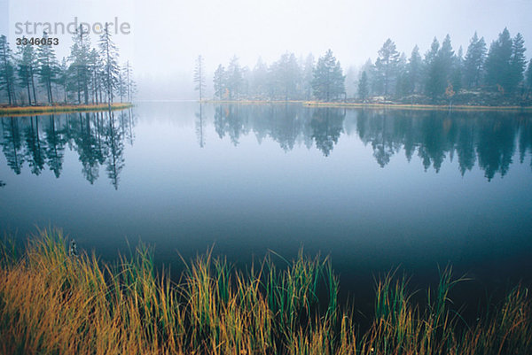 Eine Lake hüllte in Nebel  Schweden.