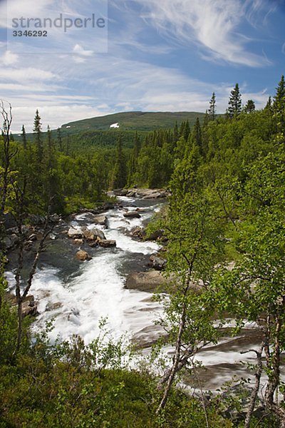 Ljungan River und Berg Birkenwaldes  Harjedalen  Schweden.