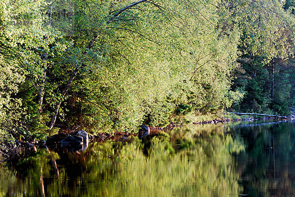Forest Lake  Vastergotland  Schweden.