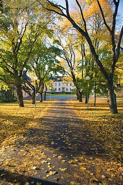 Herbstliche Bäume in einem Park von einem Palast  Schweden.