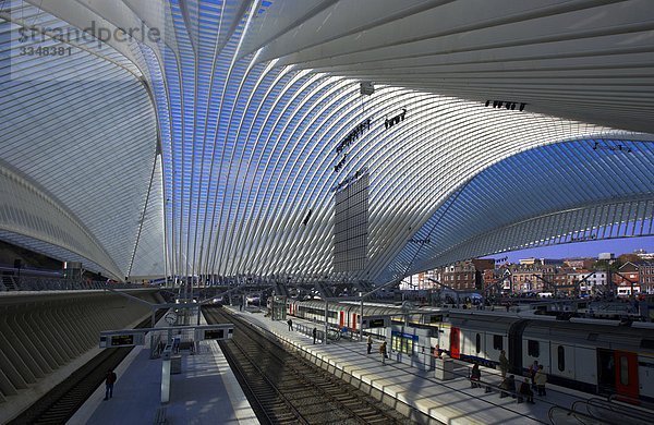 Belgien  Lüttich  Bahnhof Guillemins  Architekt Santiago Calatrava