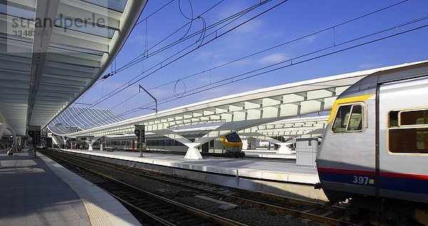 Belgien  Lüttich  Bahnhof Guillemins  Architekt Santiago Calatrava