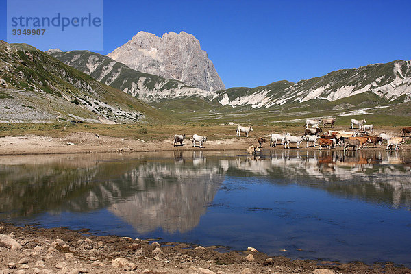 Nationalpark Hintergrund Berg Großmutter Italien