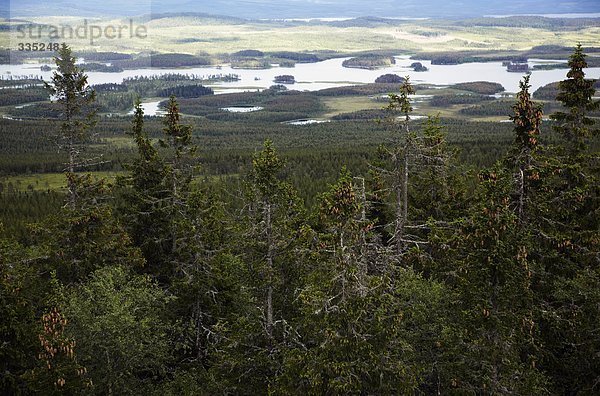 Luftbild von einem riesigen Waldlandschaft  Schweden.