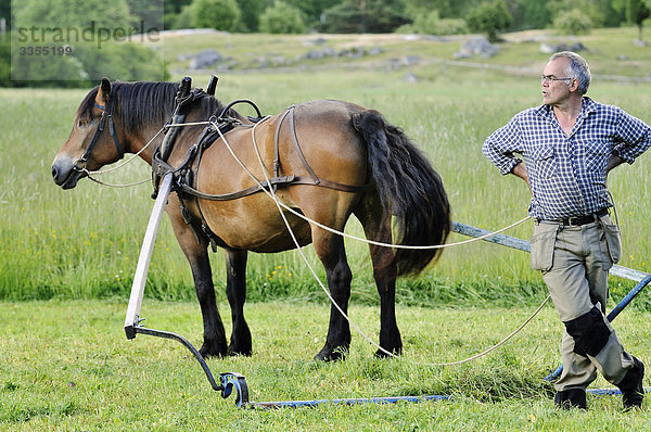 Ein Bauer mit einem Pferd  Schweden.