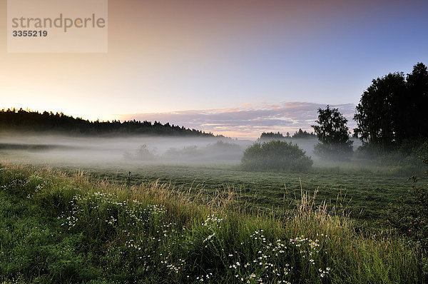Morgennebel in der Natur  Schweden.
