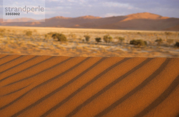 Wüste Namib  Namibia  Afrika