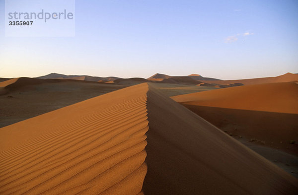 Wüste Namib  Namibia  Afrika