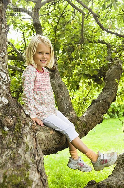 Mädchen im Baum sitzend