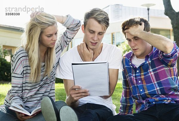 Drei Studenten sitzen draußen und studieren
