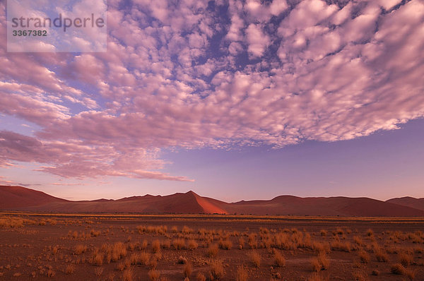 Sanddünen  Sossusvlei  Namib Naukluft Park  Hardap Region  Namibia  Afrika  Wüste  Twilight  Abenddämmerung  Rosa  Landschaft  scenic  Landschaft  Natur  Wolken  Rosa Himmel