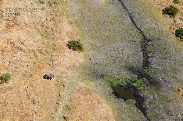 Landschaftlich schön landschaftlich reizvoll Wasser Landschaft Tier Natur Vogel Elefant Luftbild Afrika Feuchtgebiet Sambia Südliche Provinz