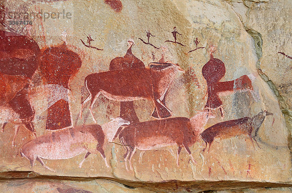 Rock Art  San Buschmann  Rock Paintings  Kamberg Nature Reserve  Drakensberge  Kwazulu Natal  Südafrika  Tiere  prähistorische