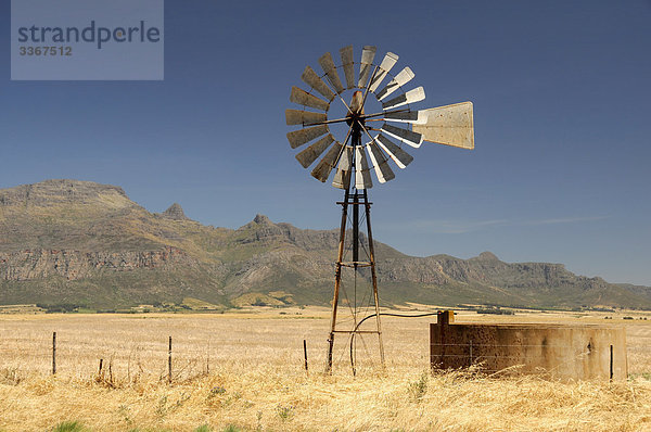 Südliches Afrika Südafrika Gebirge Landschaftlich schön landschaftlich reizvoll Berg Landschaft Landwirtschaft Feld Wiese Gebirgszug Western Cape Westkap