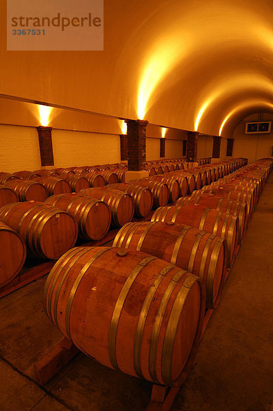 KWV Weingut  Weinkeller  Paarl  Western Cape  Südafrika  Innenaufnahme  Hallenbad  Wein Region  Fässer  Rebe  Speicher