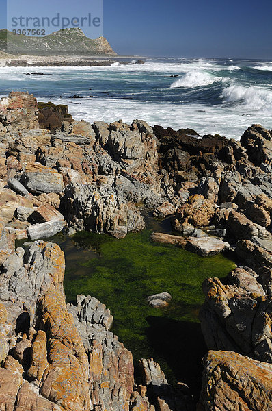 Millers Punkt  False Bay  Cape Peninsula  Western Cape  Südafrika  Surf  rocky  Felsen  Felsen  Meer  Ozean  Natur  Küste  Landschaft  seelandschaft  Pool  Wellen