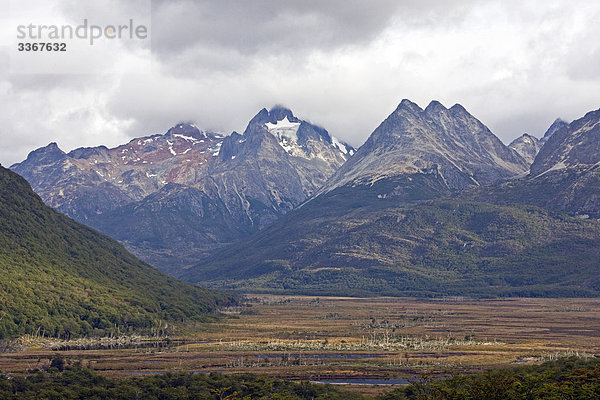 Landschaftlich schön landschaftlich reizvoll Wasser Feuerland Tierra del fuego Berg Landschaft Natur Sumpf Feuchtgebiet kahler Baum kahl kahle Bäume Argentinien