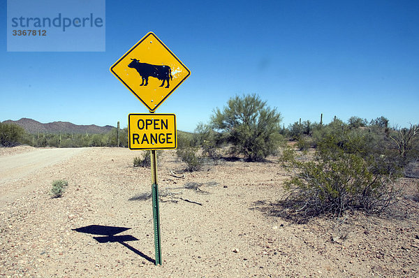 USA  Nordamerika  Arizona  2009  Schilder  Rind  Sandbahn  Kuh  Wüste  Landschaft  Landschaften  Warnung