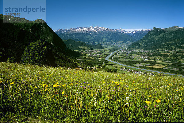 Landschaftlich schön landschaftlich reizvoll Berg Blume Landschaft Natur Fluss Alpen Frühling Wiese Liechtenstein Mels Rheintal Schweiz