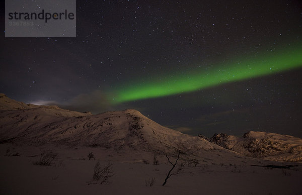 Henrikvikdalen  Norwegen  Skandinavien  polar Licht  natürliche Phänomen  Aurora  Himmel  dunkel  scenic  Lichter  Norden Licht  Schnee Winternacht  Sterne  Berge