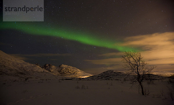 Henrikvikdalen  Norwegen  Skandinavien  polar Licht  natürliches Phänomen  Aurora  Himmel  dunkel  scenic  Lichter  Norden Licht  winter Night  Sternen bewertet  Gebirge  Schnee  Wolken  Baum