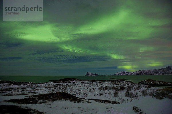 Sommaroy  Norwegen  Skandinavien  polar Licht  natürliches Phänomen  North Licht  Aurora  Winternacht  Wolken  Küste  Meer  Gebirge  Schnee