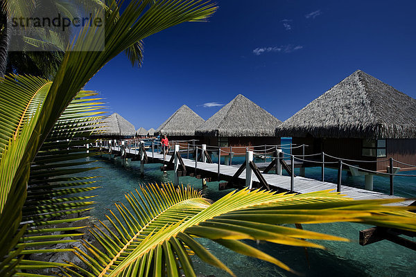 Tahiti  Tahiti Nui Insel  Papeete Stadt  das Meer  Intercontinental Resort