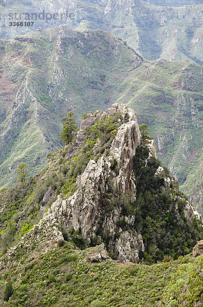 Anaga-Gebirge  Teneriffa  Kanarische Inseln  Spanien  Europa