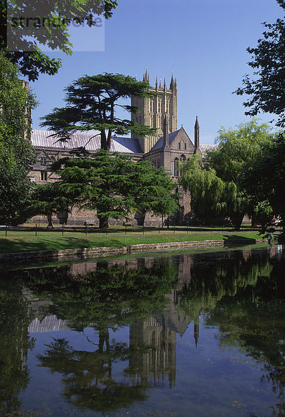 Kathedrale von Wells  Somerset  England