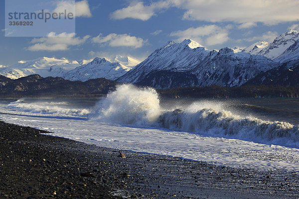 Kachemak Bay  Homer  Kenai-Halbinsel  Homer Spit  Alaska  USA