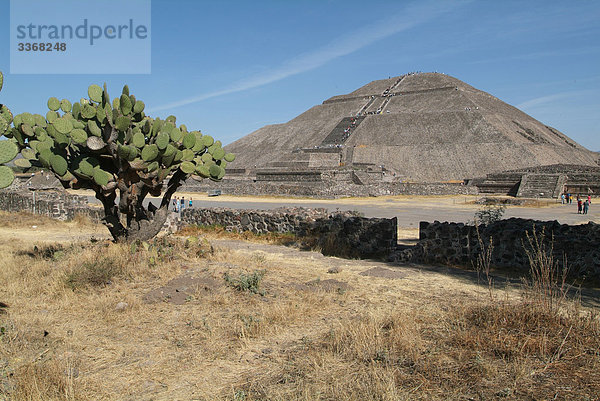 Mexiko  Maya  Ruinen  Teotihuacan  Kaktus  Pyramide  solar Pyramide  platzieren  space  Kultur