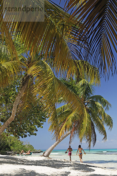 Vela Blanca  privater Strand in Isla Saona  Dominikanische Republik