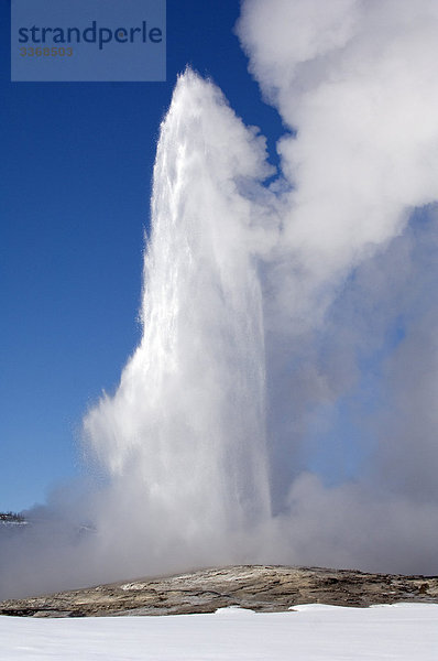 USA  Yellowstone  Yellowstone  Geysir  alte Faithfull  Nationalpark  Landschaft  Wasserstrahl  Frühling  Natur  winter