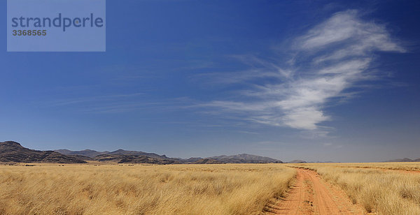 Sandweg  Purros  Kaokoland  Region Kunene  Namibia  Afrika  Reisen  Natur
