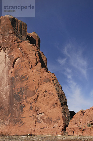 Canyon del Muerto  Canyon de Chelly National Monument  Arizona  USA  Amerika  Nord-Amerika  Reisen  Felsen  Landschaft  Natur