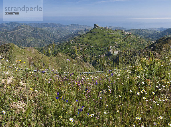 Nationalpark Felsbrocken Botanik Wohnhaus Gebäude Steilküste grün Dorf Wiese Kalabrien Italien Bergdorf