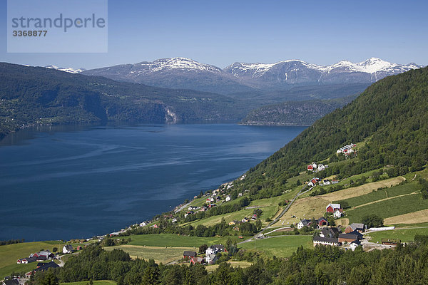 Landschaftlich schön landschaftlich reizvoll Wasser Berg Urlaub Reise Wald Holz Norwegen Fjord Skandinavien Tourismus