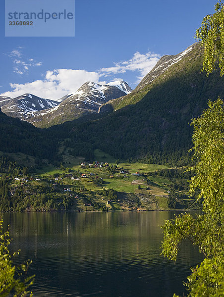 Wasser Berg Urlaub Reise Wald Holz Norwegen Fjord Skandinavien Tourismus