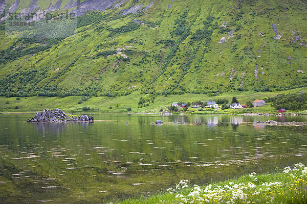 Norwegen  Scandinavia  im Norden  Nord-Norwegen  Lofoten  Inseln  Inseln  Gewässer  Landschaft  Berghang  grün  Travel  Reisen  Urlaub  Urlaub  Tourismus