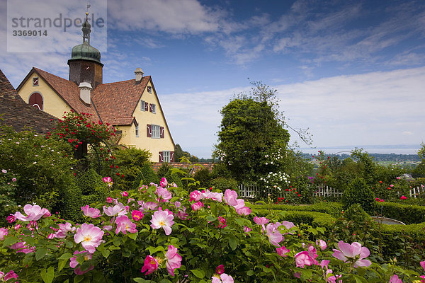 Palast Schloß Schlösser Garten Rose Schweiz