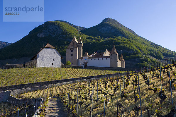 Berg Palast Schloß Schlösser Aigle Schweiz Weinberg Kanton Waadt