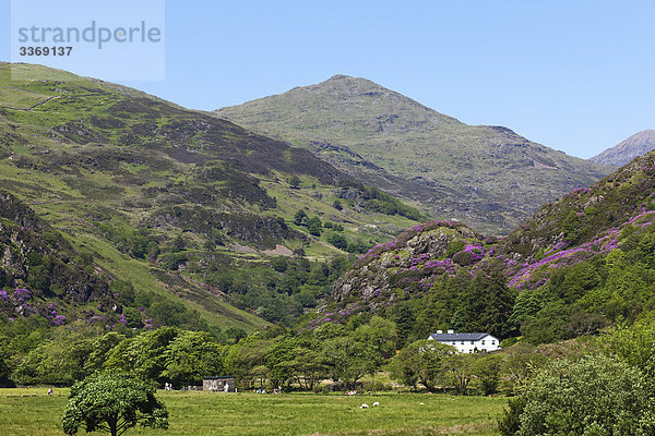 Wales  Gwynedd  Snowdonia National Park  Blick auf Mount Snowdon von Beddgelert