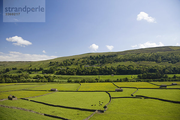 England  Yorkshire  Yorkshire Dales  Swaledale