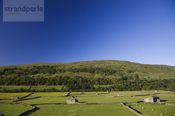 England  Yorkshire  Yorkshire Dales  Swaledale