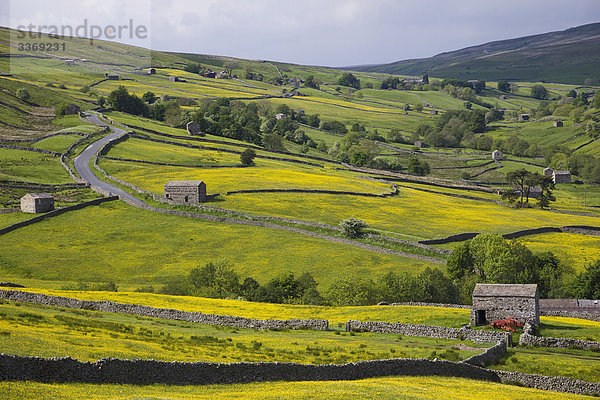 England  Yorkshire  Yorkshire Dales  Swaledale