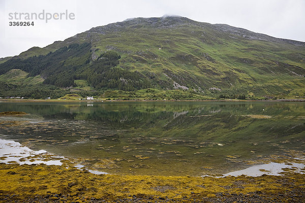 Schottland  Hochlandregion  Loch Duich