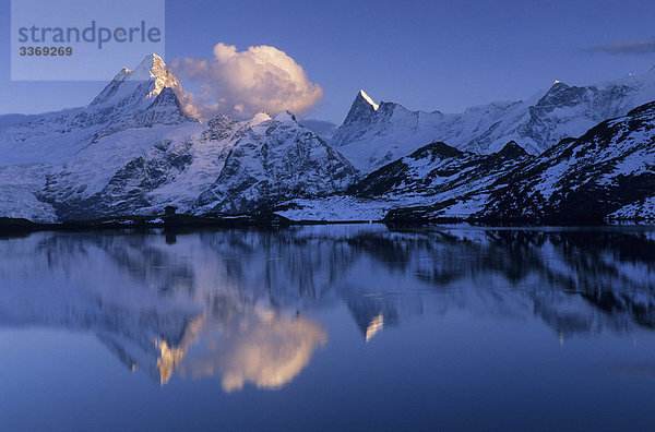 Landschaftlich schön landschaftlich reizvoll Europa Berg Spiegelung Natur Alpen Abenddämmerung Schreckhorn Berner Oberland Kanton Bern Berglandschaft Schnee Schweiz