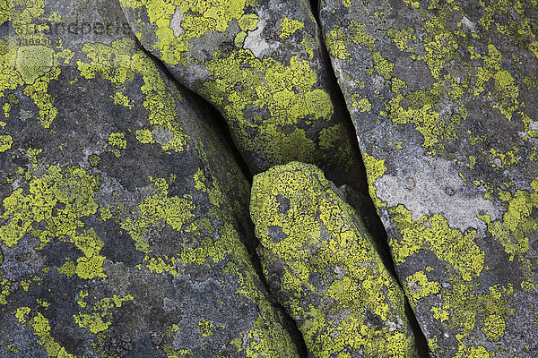 Makroaufnahme Detail Details Ausschnitt Ausschnitte Muster Berg Stein grau gelb Steilküste Close-up Alpen Flechte Flechten Schnittmuster