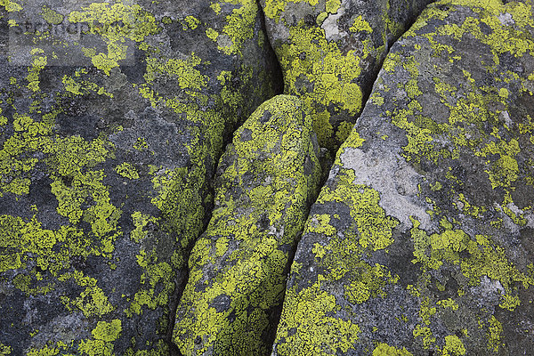 Makroaufnahme Detail Details Ausschnitt Ausschnitte Muster Berg Stein grau gelb Steilküste Close-up Alpen Flechte Flechten Schnittmuster